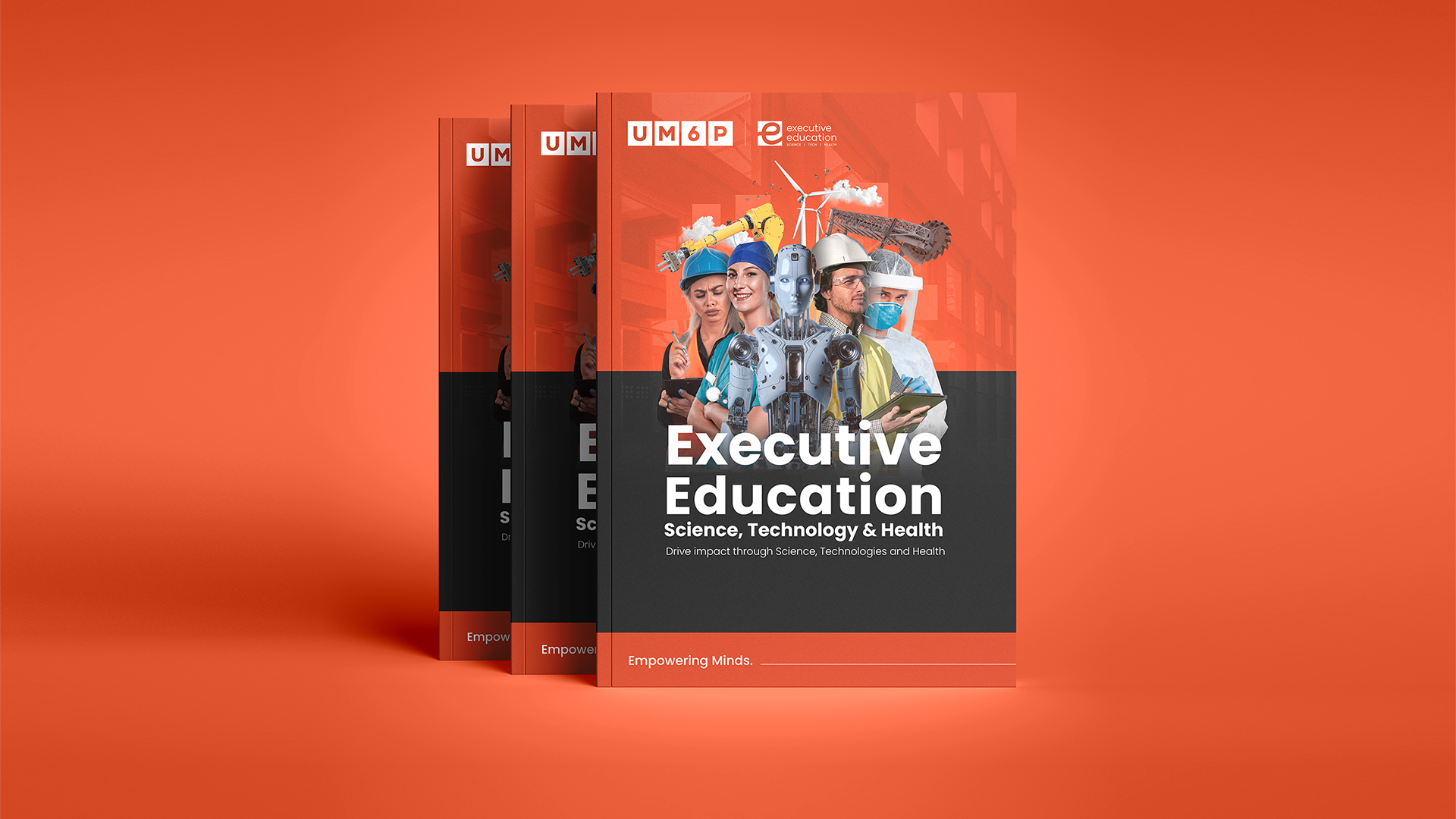 Catalogue – formation executive